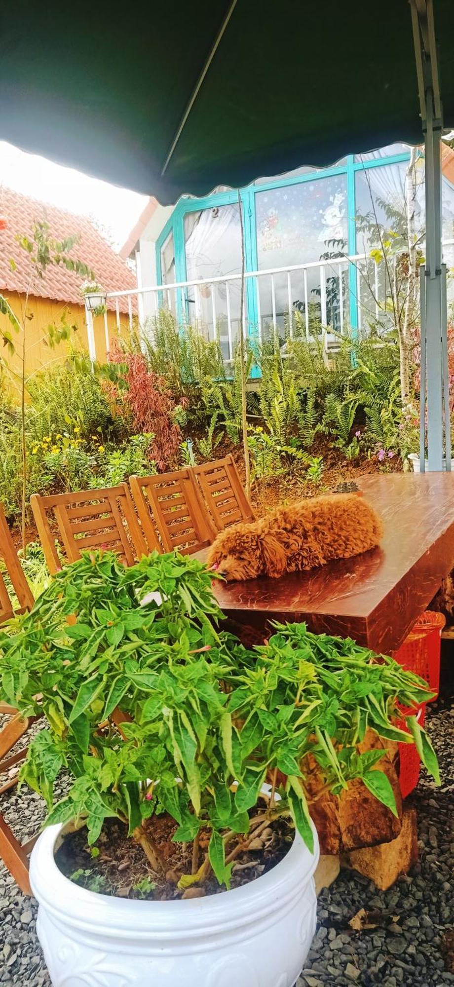 Paradiso Homestay Mangden Kon Von Kla エクステリア 写真