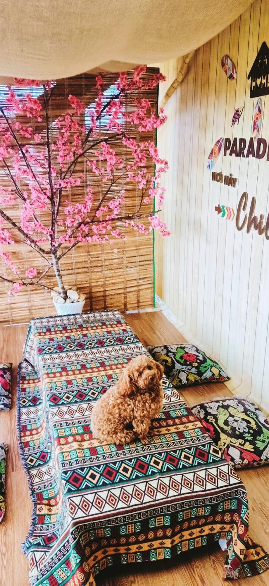 Paradiso Homestay Mangden Kon Von Kla エクステリア 写真